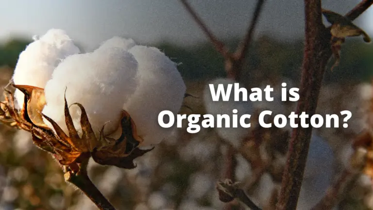 What is organic cotton?